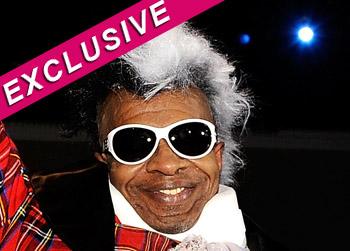 //sly stone completes rehab getty