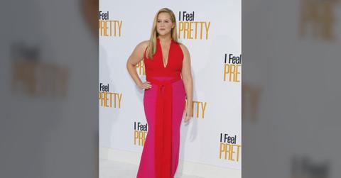 amy schumers bikini body overhaul fails impress radar reveals