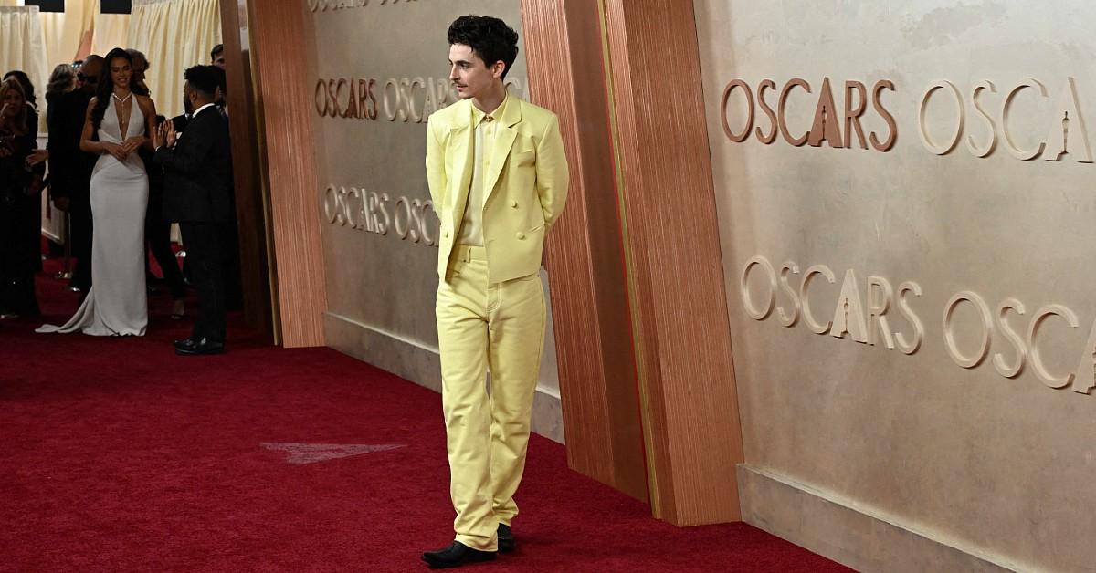 timothee oscars mega