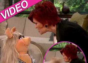 //miss piggy sharon osbourne fight the talk