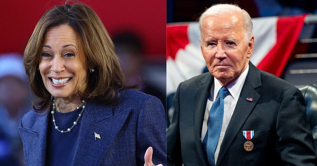 Leon Wagener predicted Harris may testify that Joe Biden was not in charge of his presidency.