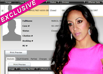 //melissa gorga shoplifting charges