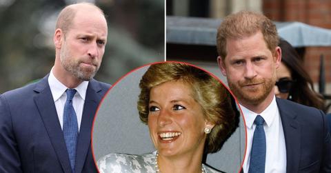 Split photos of Princess Diana, Prince William and Prince Harry