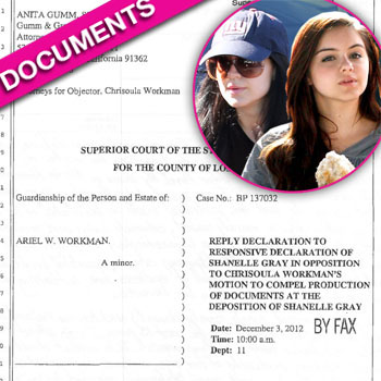 //ariel winter guardianship finances