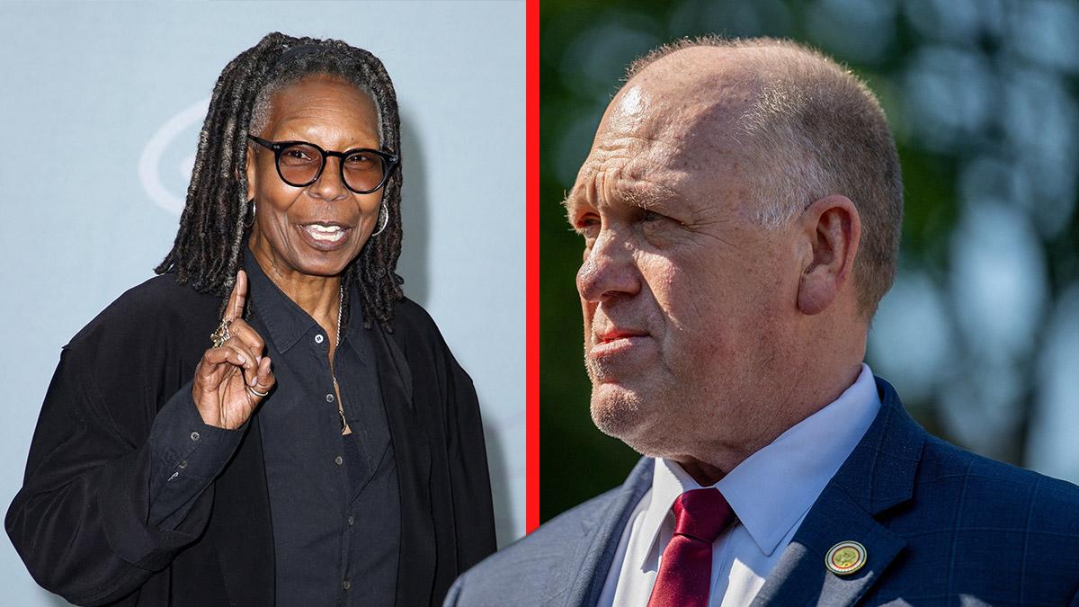Whoopi Goldberg accused Homan of lying about the shutdown delaying the cameras.
