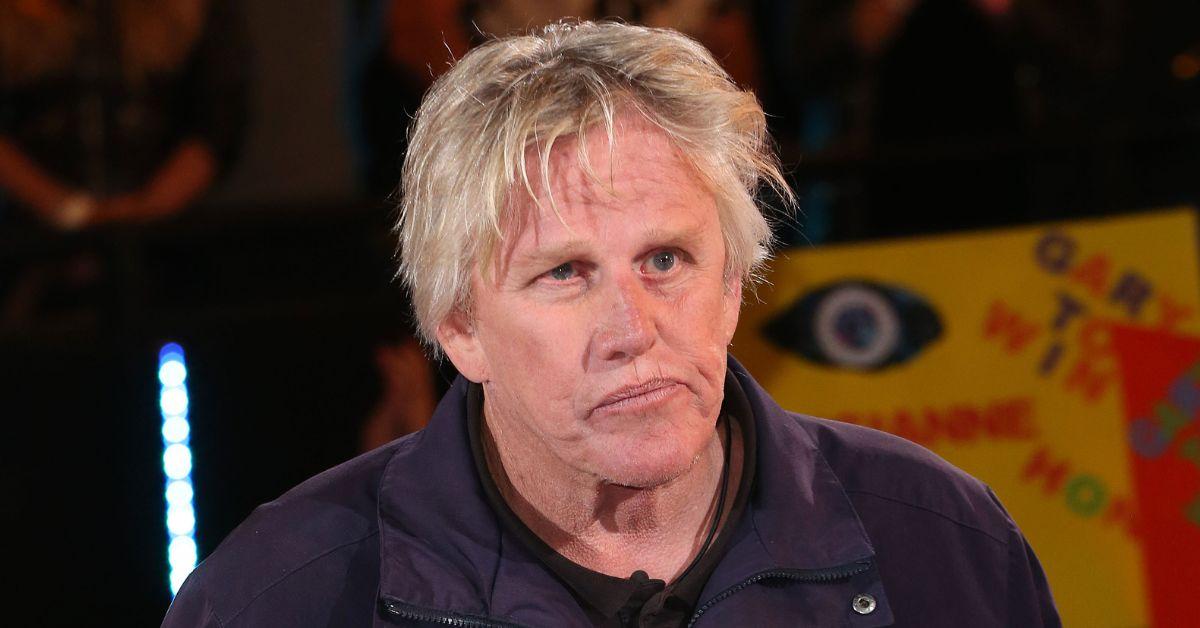 Gary Busey's Rep Defends Star After Caught With Pants Down On Bench