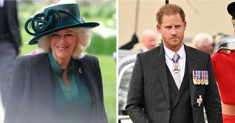 Photo of Queen Camilla and Prince Harry