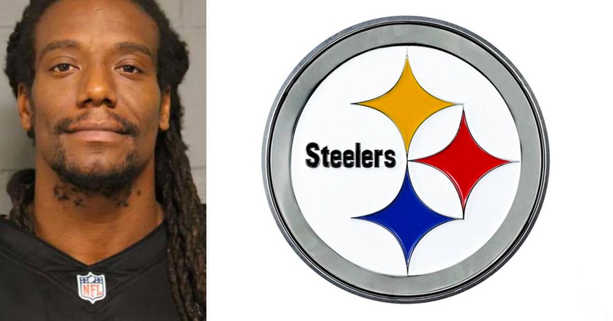 sergio brown steelers