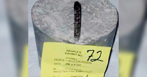 Scott Peterson Murder Trial Laci Evidence Photos