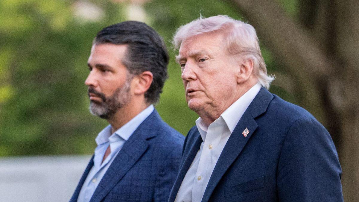 picture of Donald Trump Jr. and Donald Trump