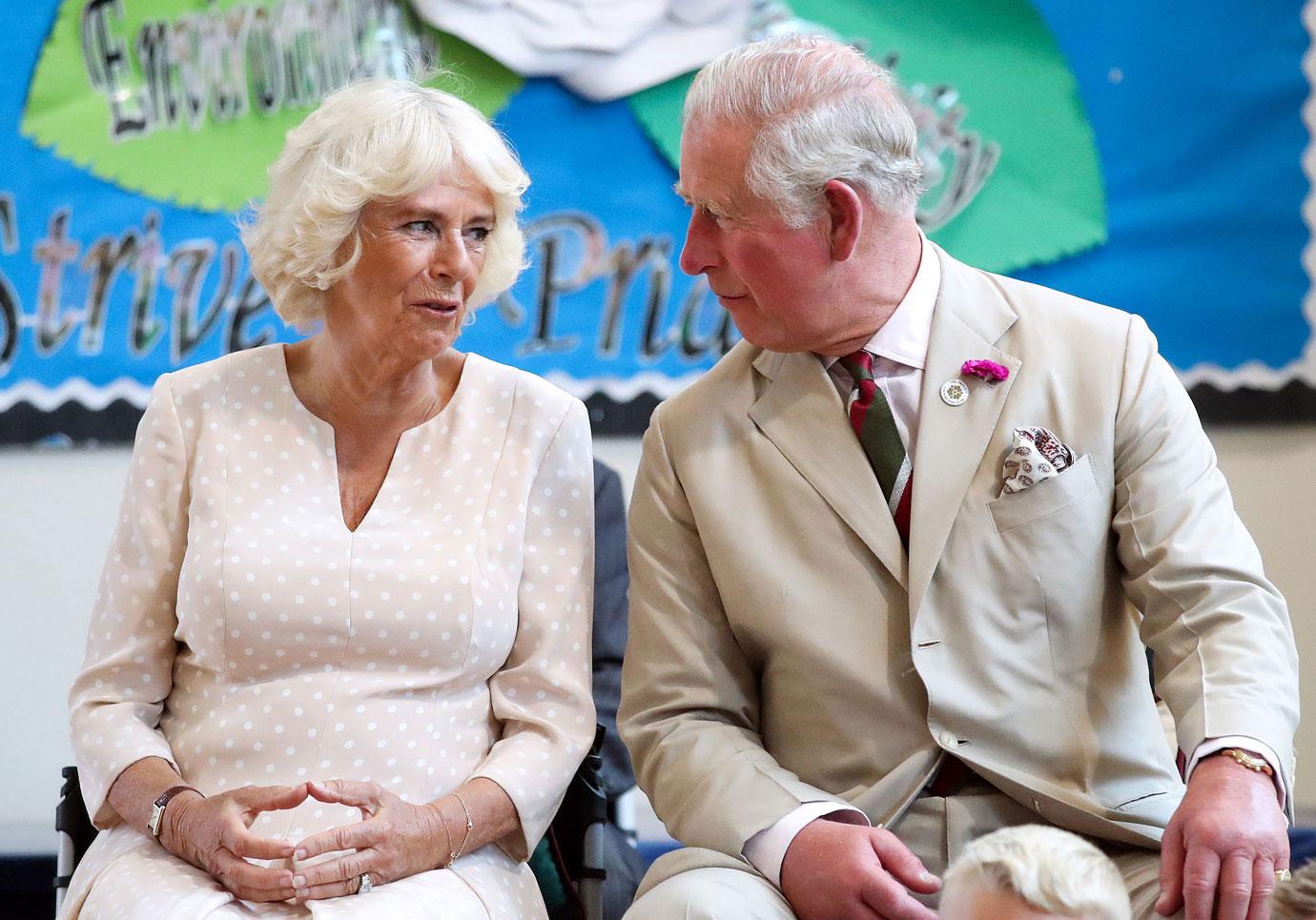 Prince Charles' Alleged Secret Love Child Says He Is 'Sane'(02)