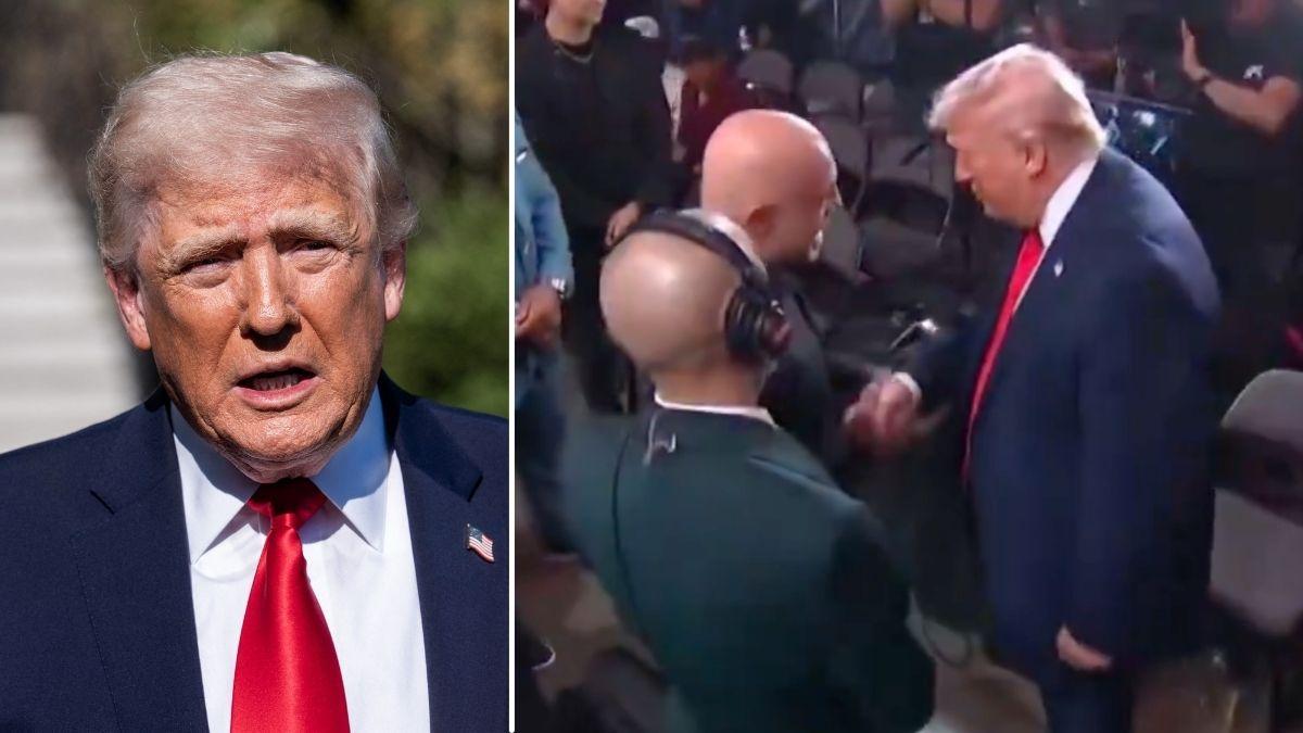 image of Donald Trump / Donald Trump and Joe Rogan