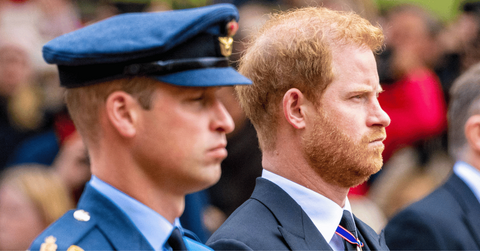 Photo of Prince William and Prince Harry