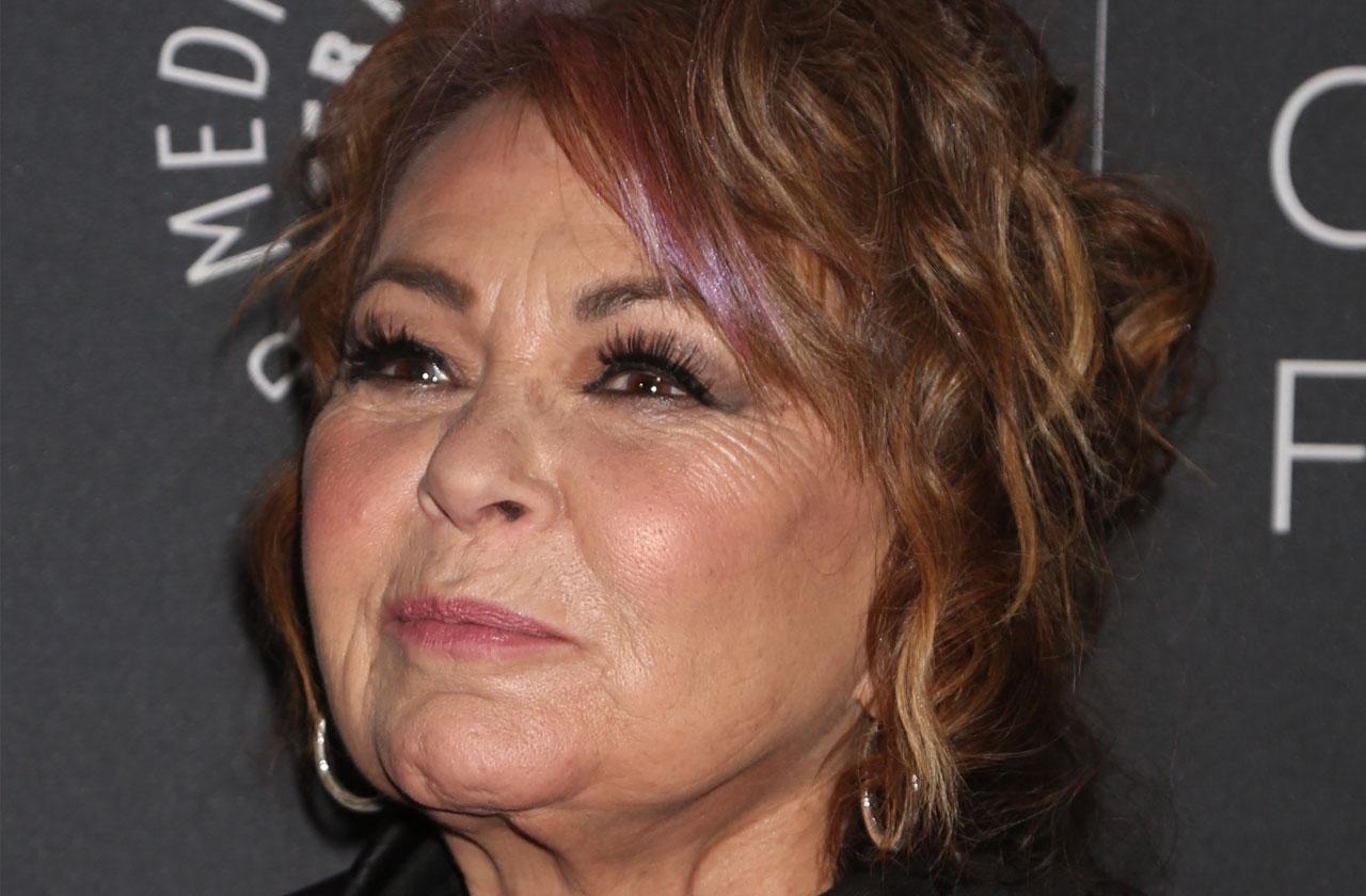 Roseanne Begged ABC Keep Show Racist Tweet