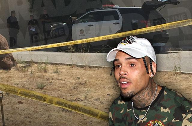 chris brown gun cops standoff tarzana