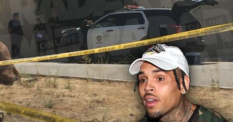 chris brown gun cops standoff tarzana