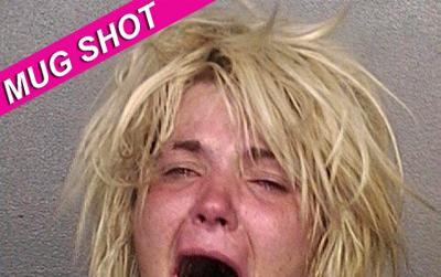 //tracey mabb mug shot brosherriffs post