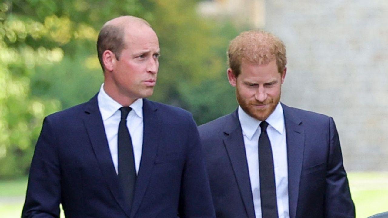 Photo of Princes William and Harry