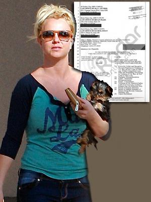 //britney spears dog lawsuit