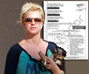 //britney spears dog lawsuit