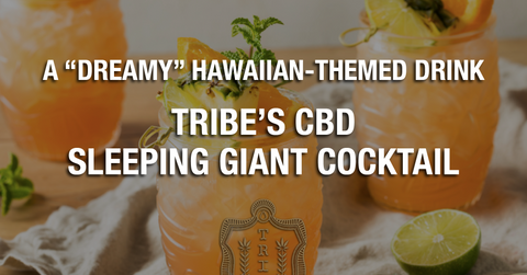 A “Dreamy” Hawaiian-Themed Drink — Tribe’s CBD Sleeping Giant Cocktail