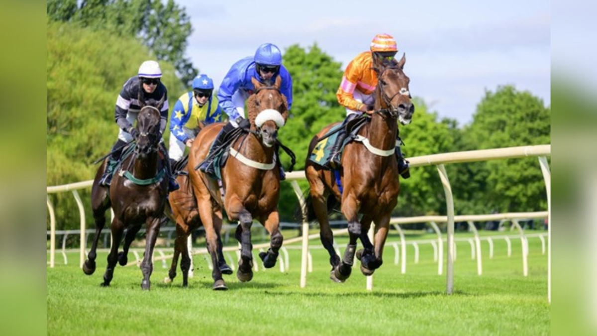 valerie juliet valdez circle inset image templates  x  px