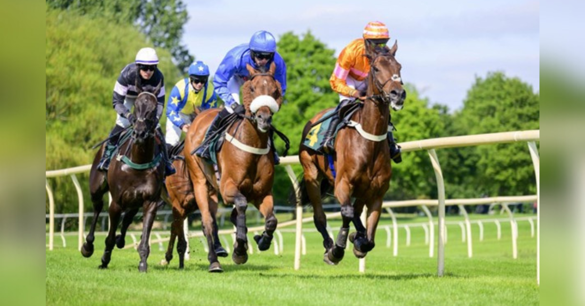 How Horse Racing Became Part of Mainstream Sports Reporting