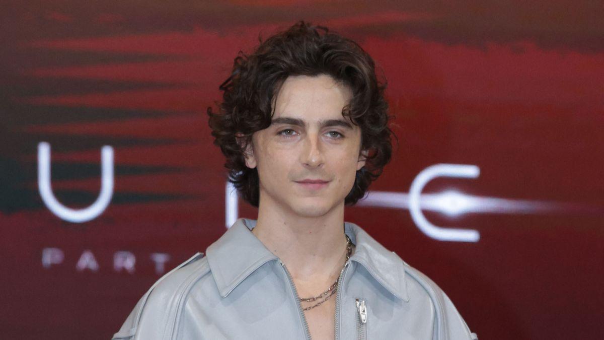 Timothee Chalamet's x-rated past has been revealed as claims surface about his dating behavior involving the 'Dune' star.