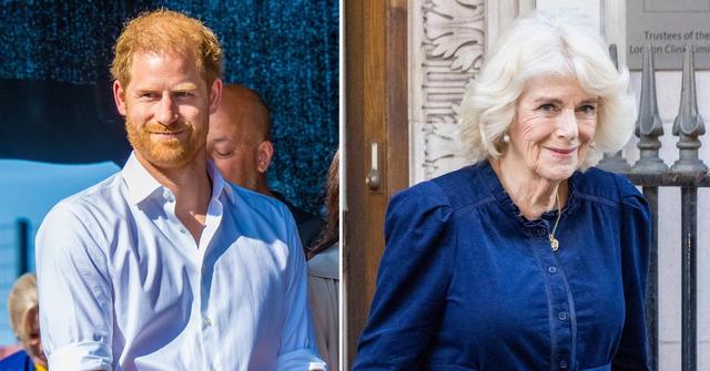 harry avoided camilla when he spoke to charles about cancer diagnosis pp