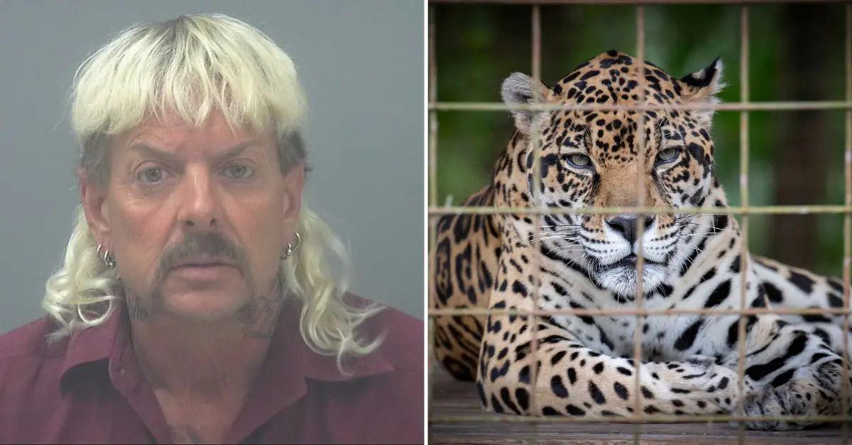 Joe Exotic's Doctors Suspect 'Tiger King' Star Has Bladder Cancer