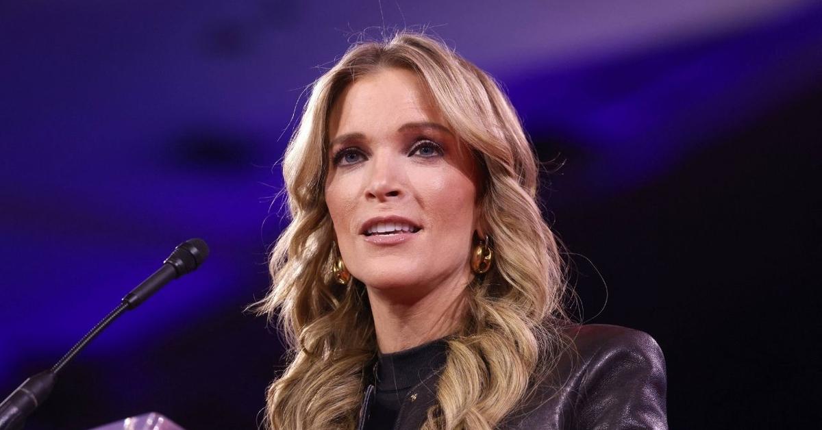 Megyn Kelly Has Meltdown Over 'Homely' CNN Hosts and Rips…