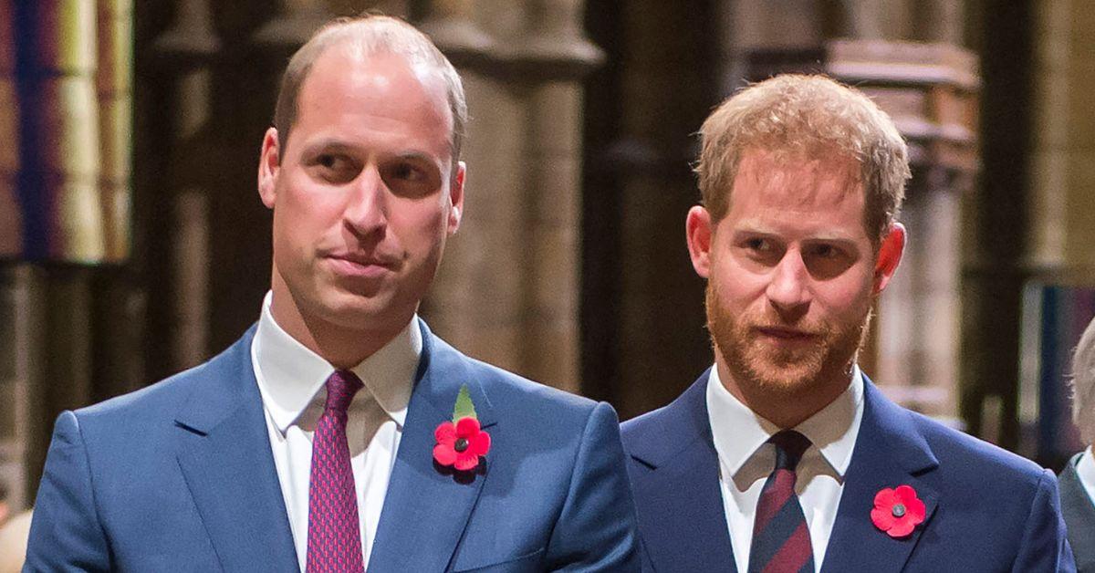 Photo of Prince William and Harry