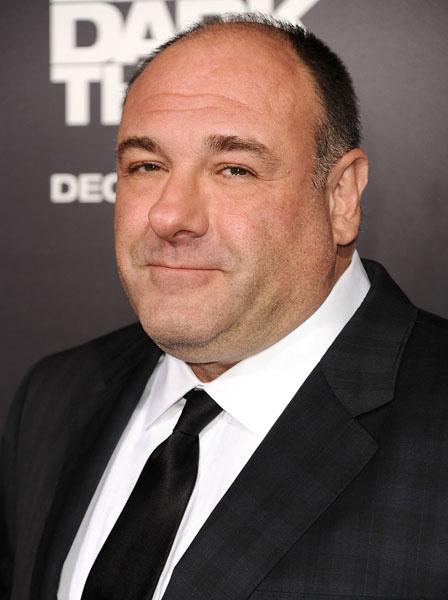 James Gandolfini 50 Insatiable Headlines, Scandals & Unforgettable Stories Of 2013