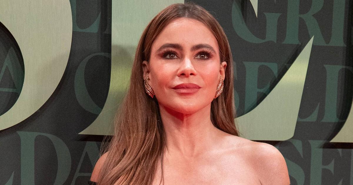 Sofia Vergara Accuses Contractor Suing Her For 1.7 Million of(02)