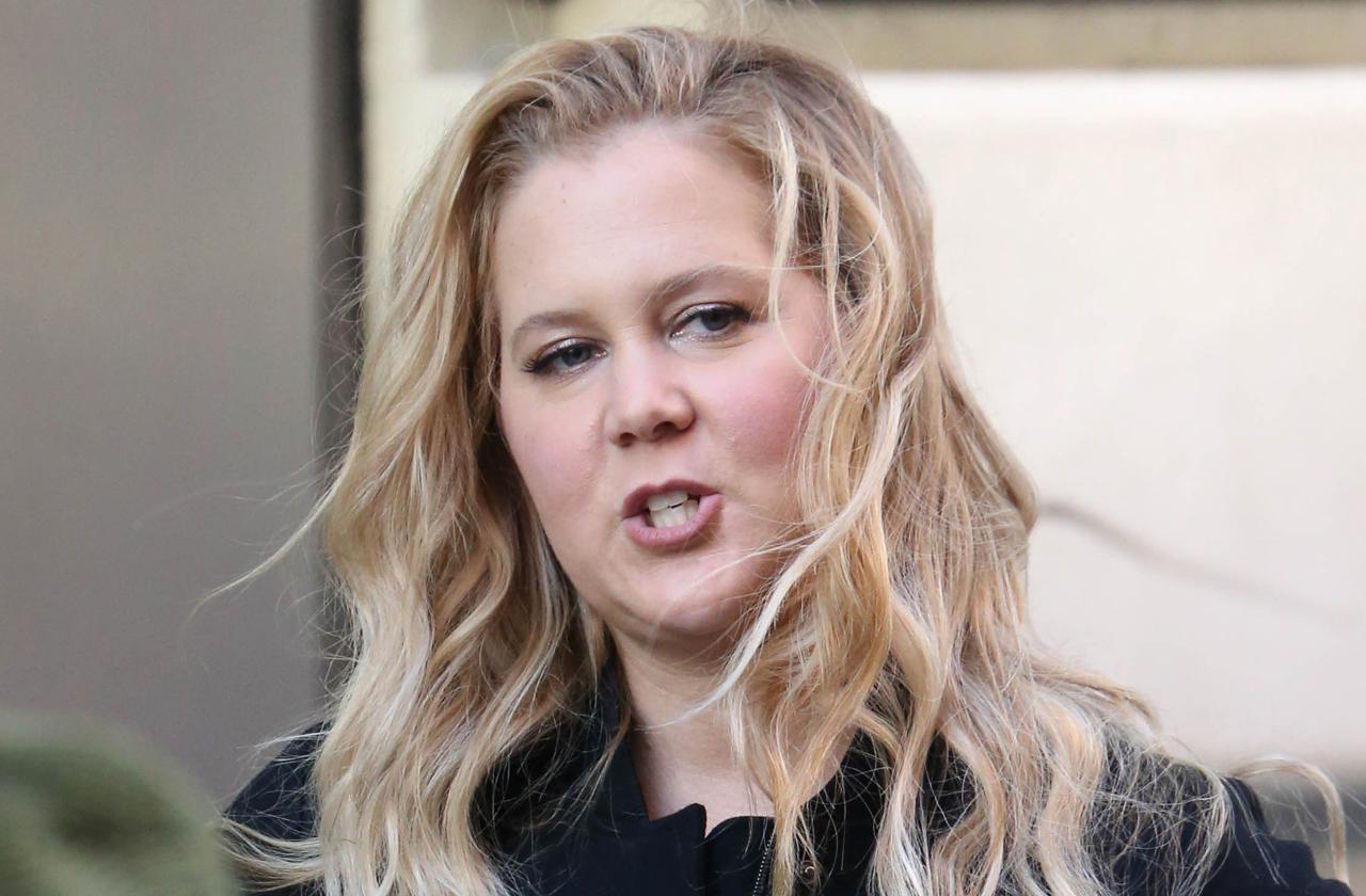 Pregnant Amy Schumer Throws Up On Her Way To Stand-Up Show