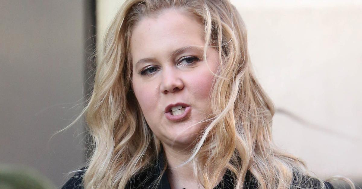 Pregnant Amy Schumer Throws Up On Her Way To StandUp Show(02)
