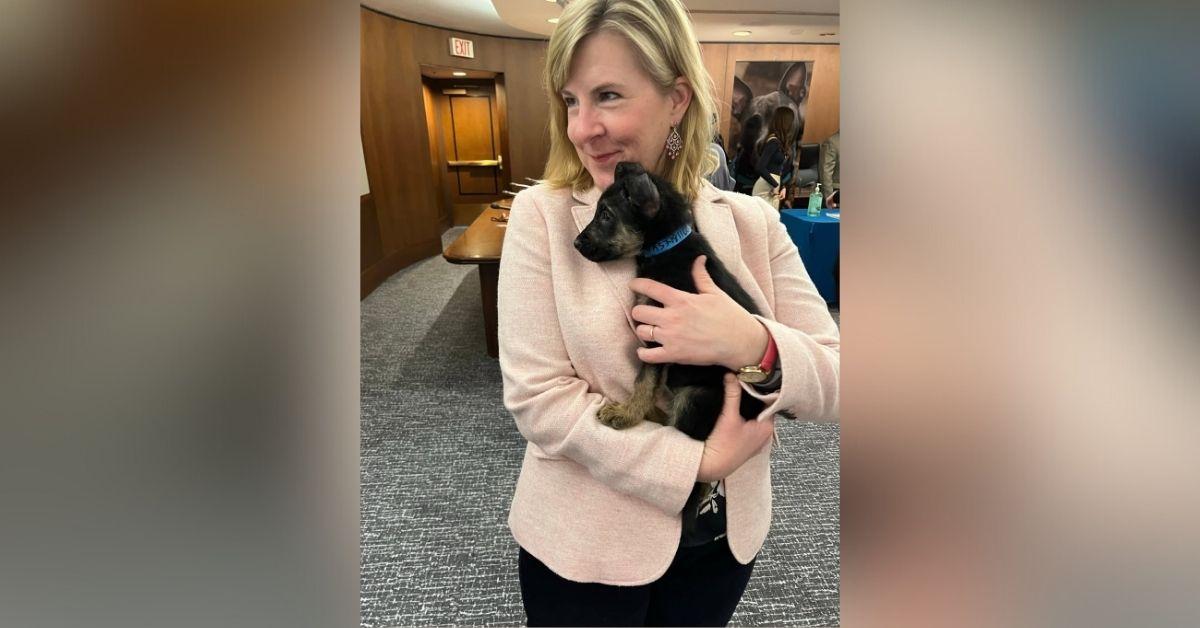 Photo of Melissa Hortman