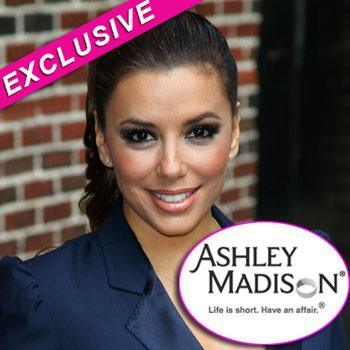 //ashley madison splashnews