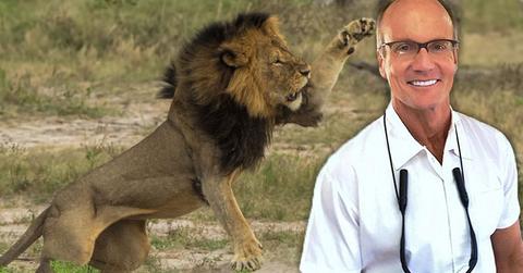Walter Palmer Sexual Harassment