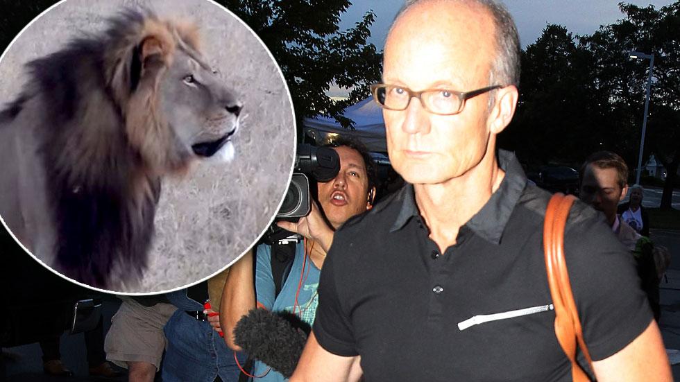 Back On The Scene Lion Killer Walter Palmer Returns To Work At Dental