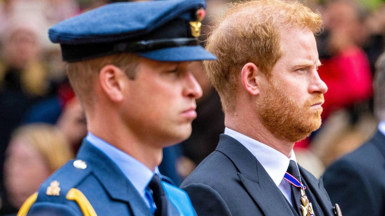 photo of Princes William and Harry