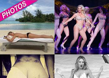 //pp_twittergallery_twitter