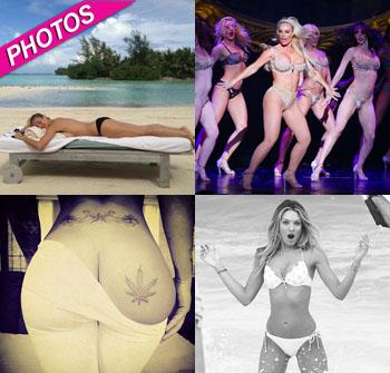 //pp_twittergallery_twitter