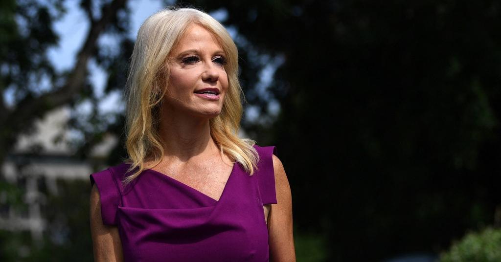 Trump's Ex-WH Advisor Kellyanne Conway Says Tim Scott Ticks Boxes for VP