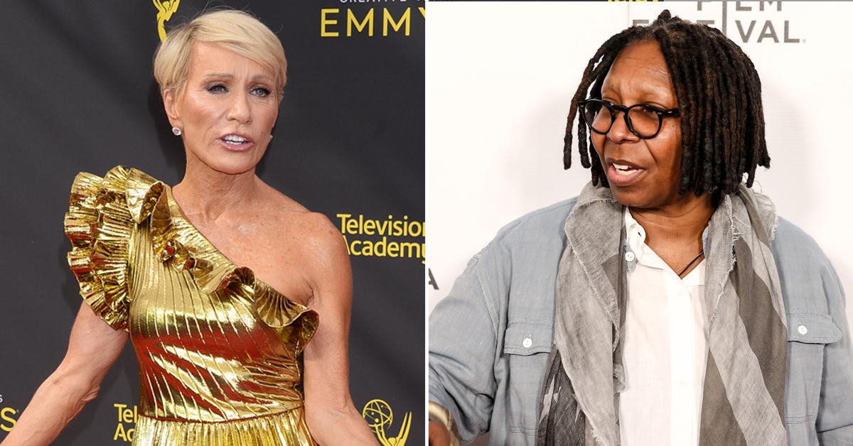 barbara corcoran throws fat jokes whoopi goldberg live television view host pissed