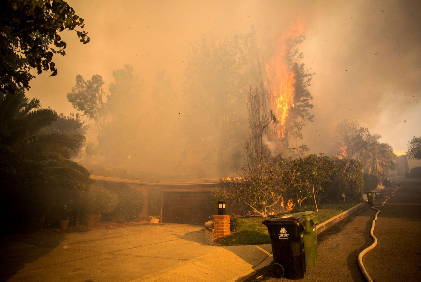 //California Wildfire Celebrity Reactions