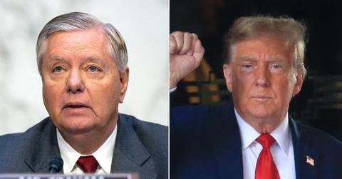 lindsey graham defending donald trump tiger woods arnold schwarzenegger