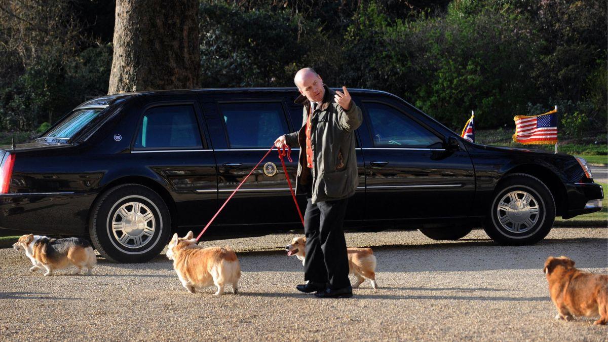 Photo of Queen Elizabeth's corgis