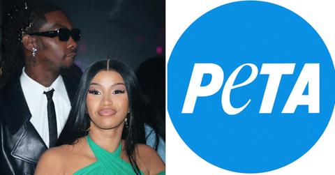 offset cardi b birthday birkins peta response