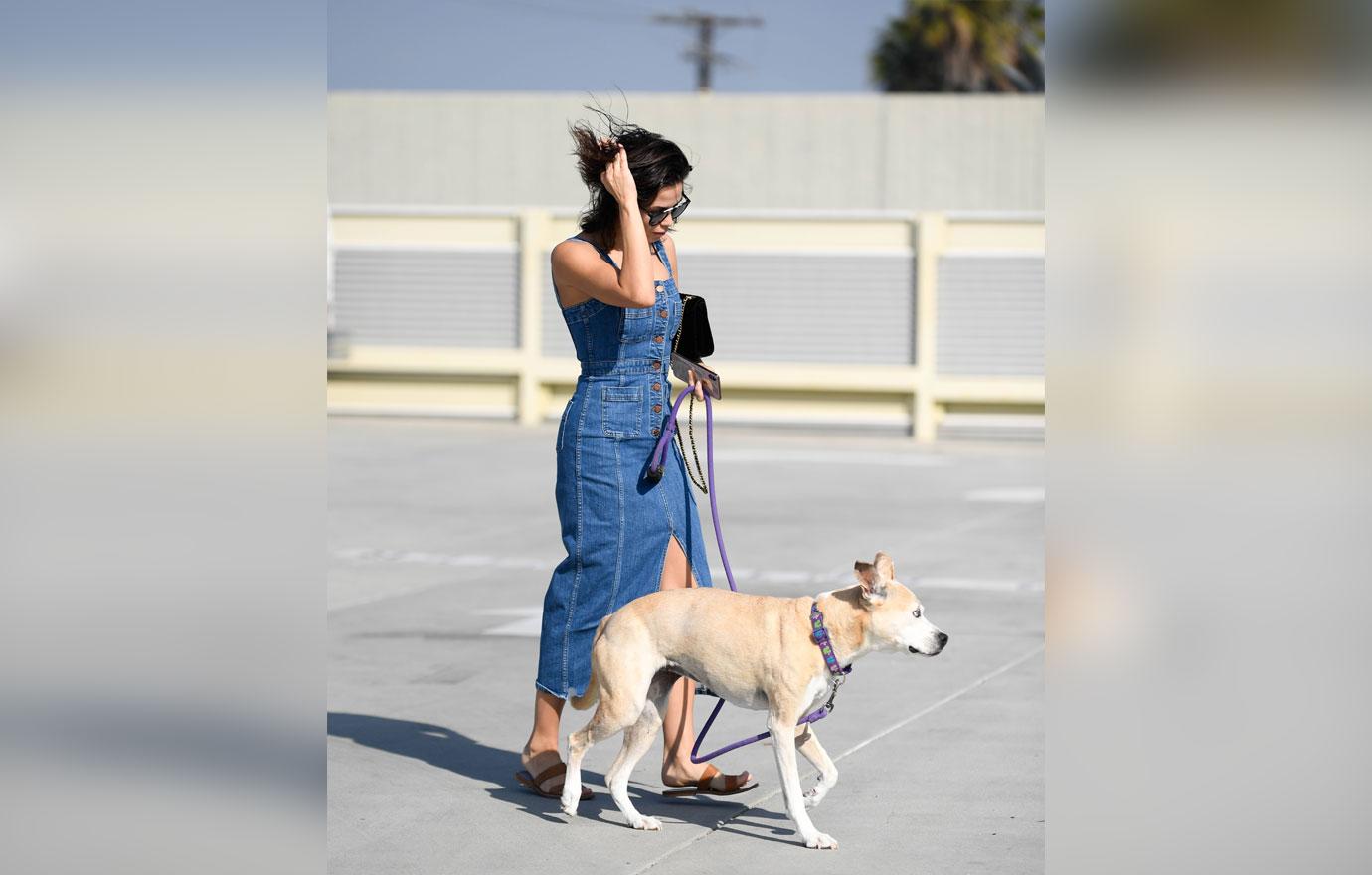 Jenna Dewan Takes Dog To The Vet